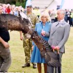 Trending Eagles News Updates