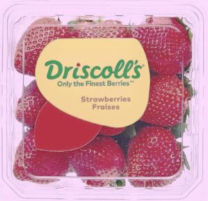 Driscoll Strawberries News